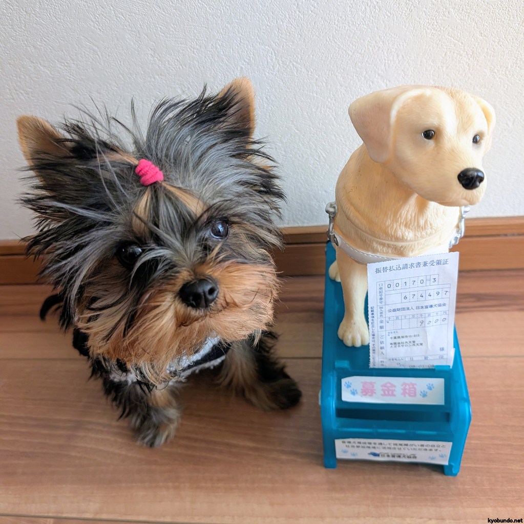 2025年 盲導犬募金のご報告＜千葉県旭市のメガネ・補聴器 専門店 共文堂＞